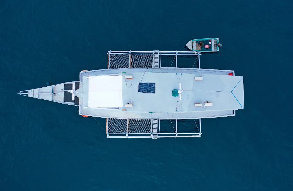 Private Charter – New IJC - Private Charter – New IJC - Full Day Tour Komodo