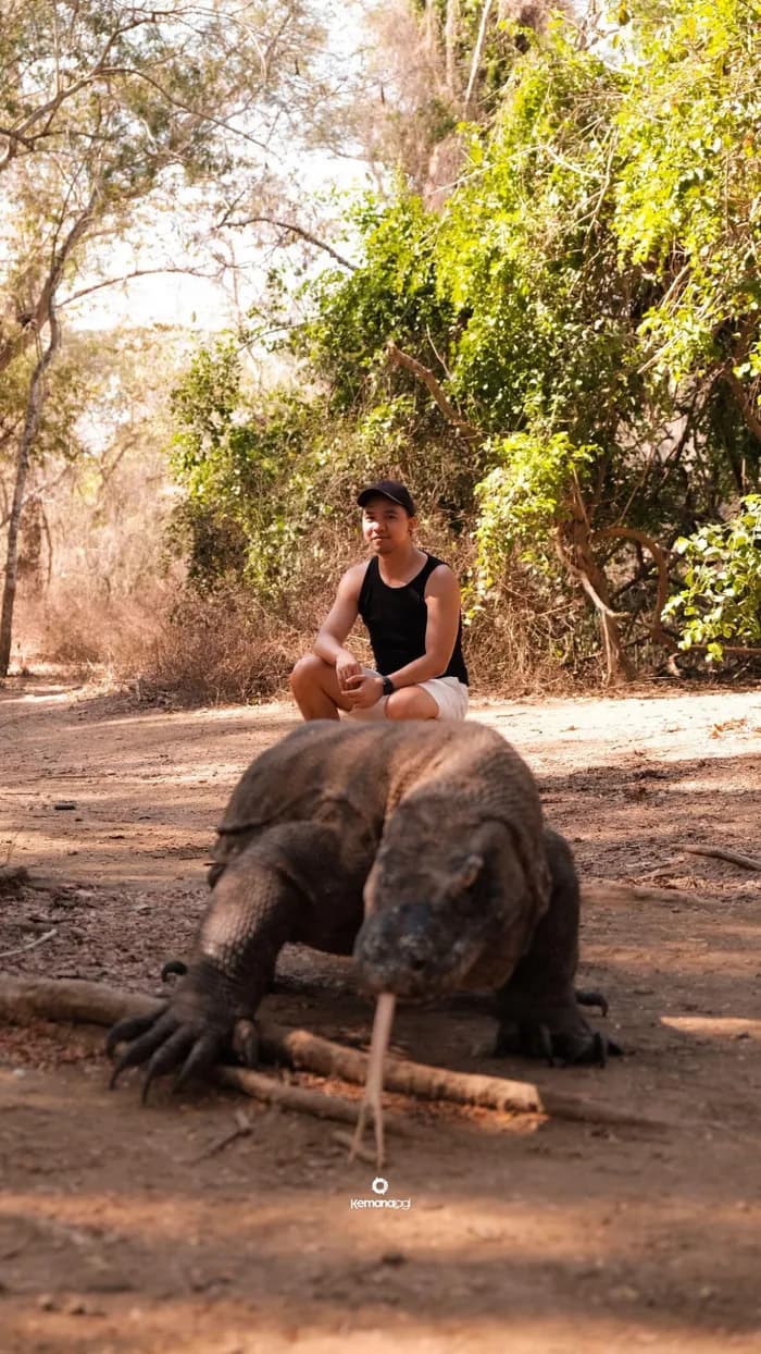 Close encounter with a Komodo dragon on a guided Komodo National Park tour