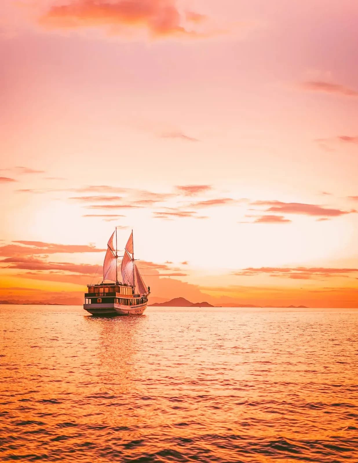 Private Charter – Elbark - Private Charter – Elbark - Full Day Tour Komodo