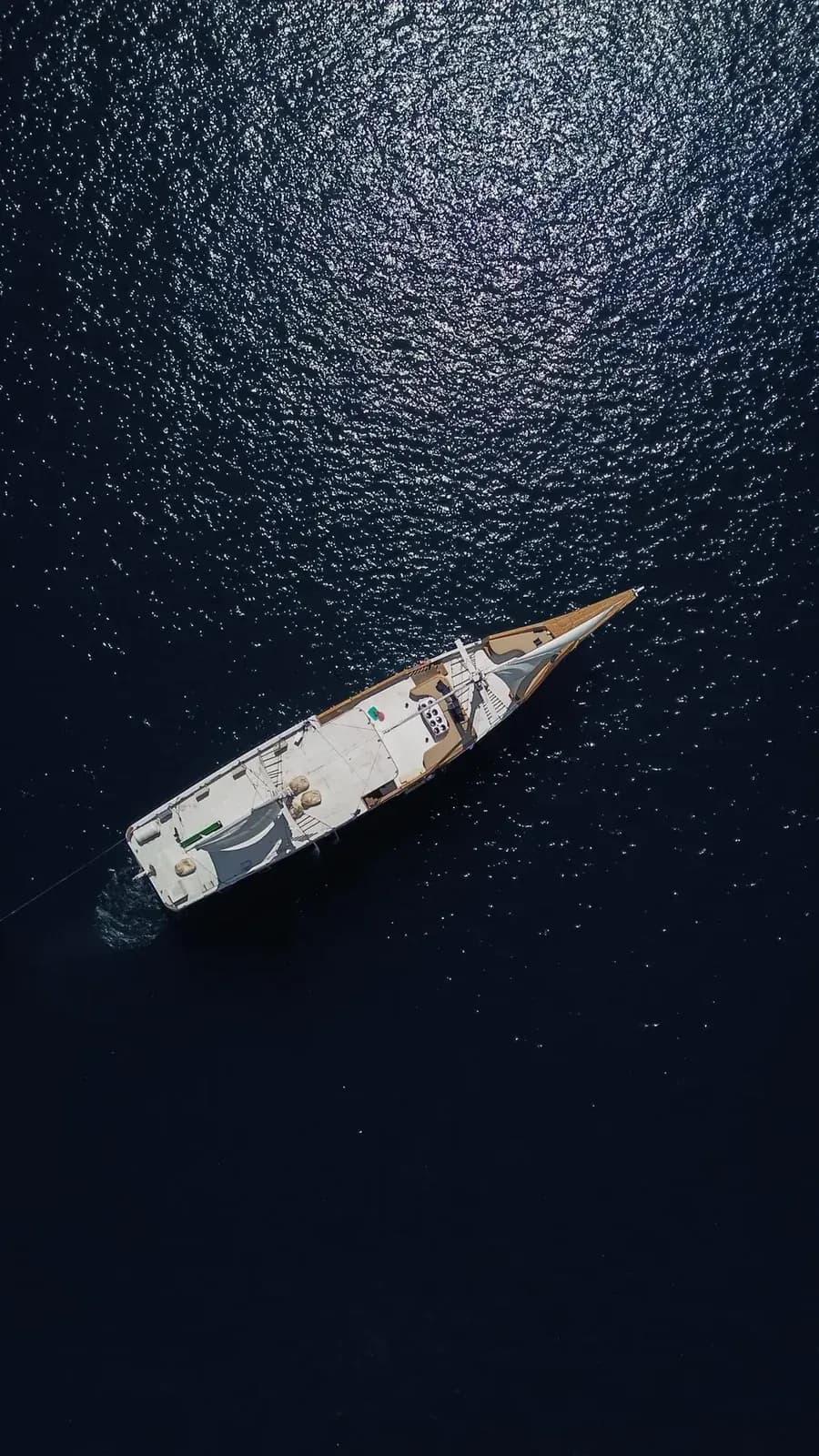 Private Charter – Raffles - Private Charter – Raffles - Full Day Tour Komodo