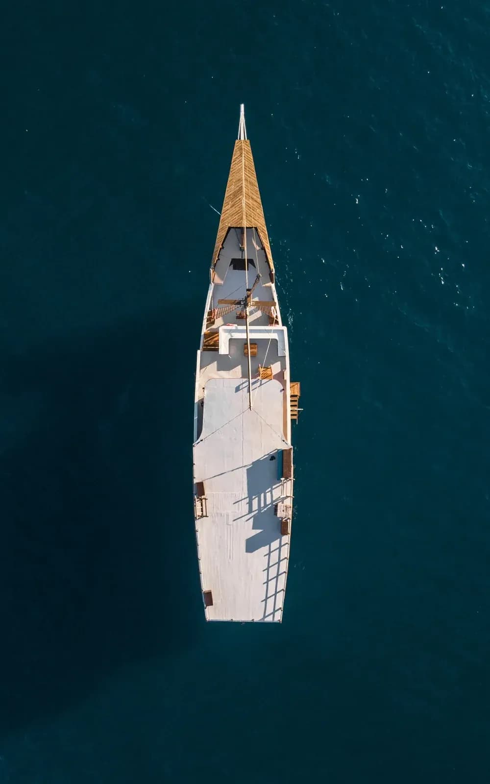 Private Charter – Raja Bintang 3 - Private Charter – Raja Bintang 3 - Full Day Tour Komodo