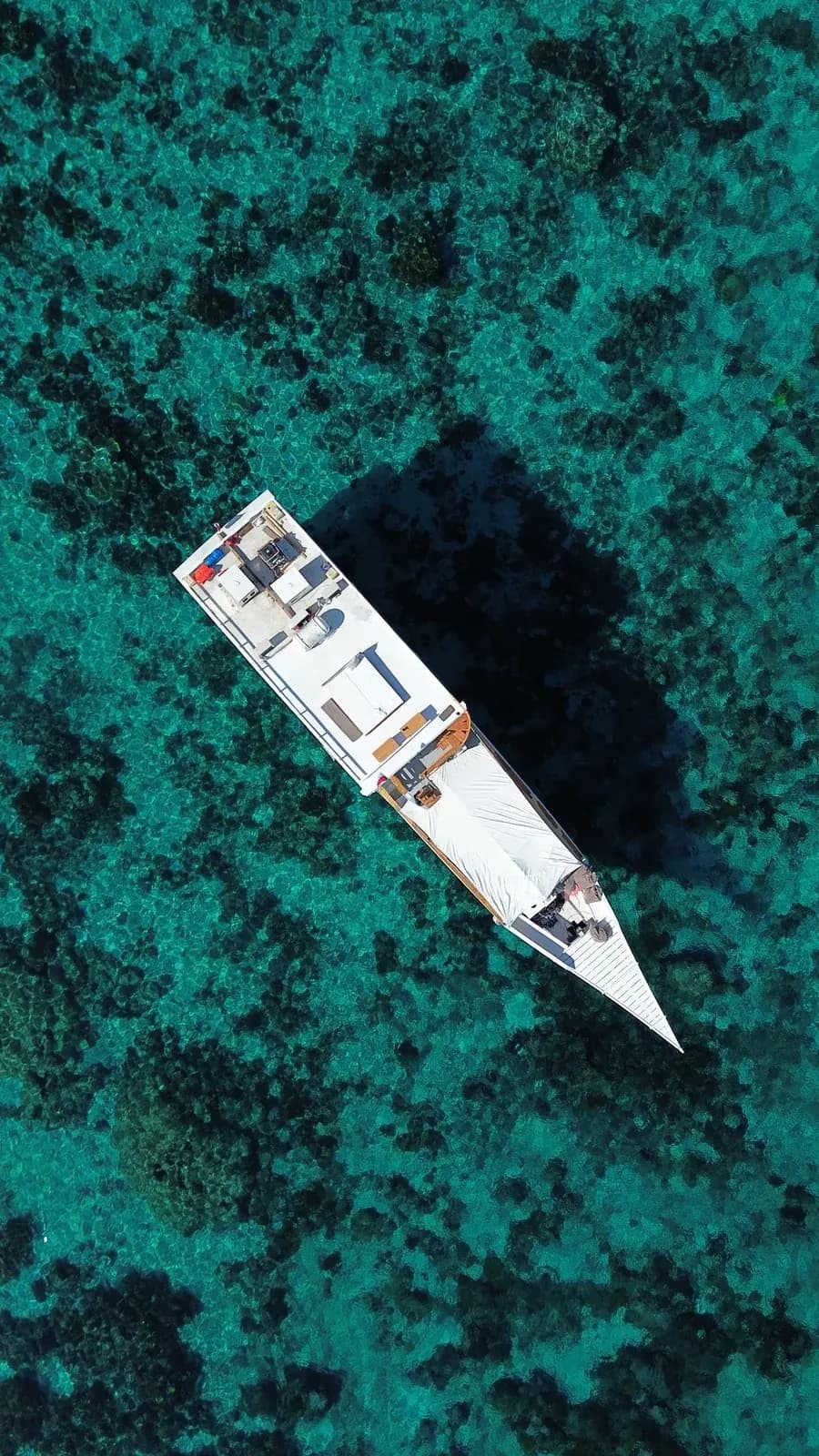 Private Charter – Zendaya - Private Charter – Zendaya - Full Day Tour Komodo